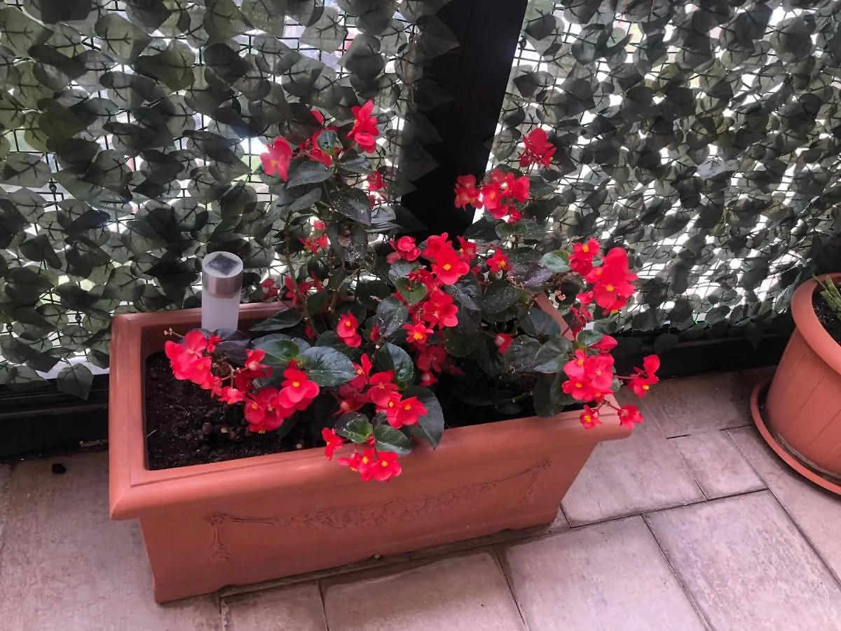 Casa Chiara Italia Terrace Centro Direzionale Apartment Naples Italy